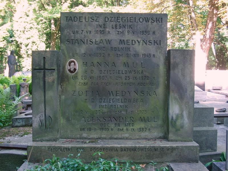 Zdjęcie grobu Tadeusz Dzięgielowski (2)