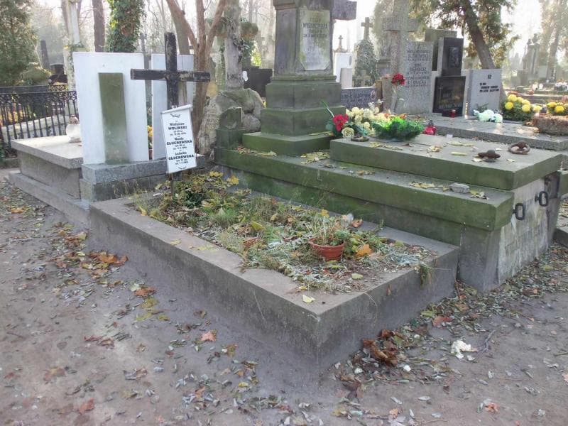 Zdjęcie grobu Ludwika Głuchowska (1)