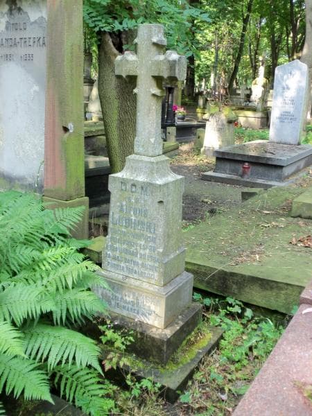 Zdjęcie grobu Alfons Lubiński (2)