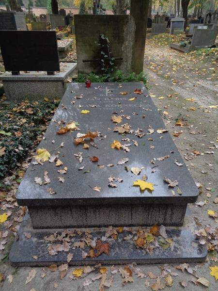 Zdjęcie grobu Jan Dubis (1)