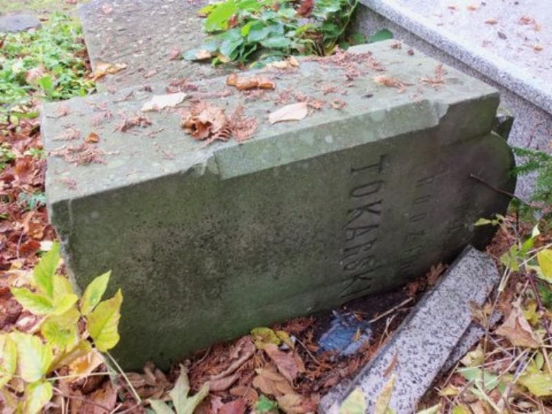Zdjęcie grobu Tokarscy (2)
