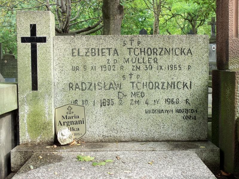 Zdjęcie grobu Elżbieta Tchorznicka (2)