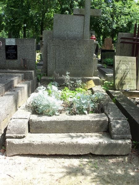 Zdjęcie grobu: Anna Ostrowska