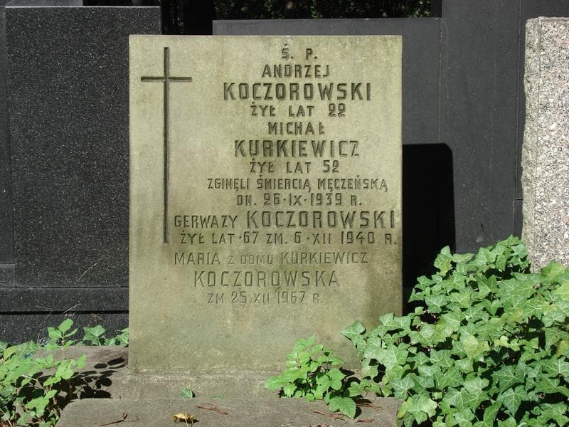 Zdjęcie grobu Andrzej Koczorowski (2)