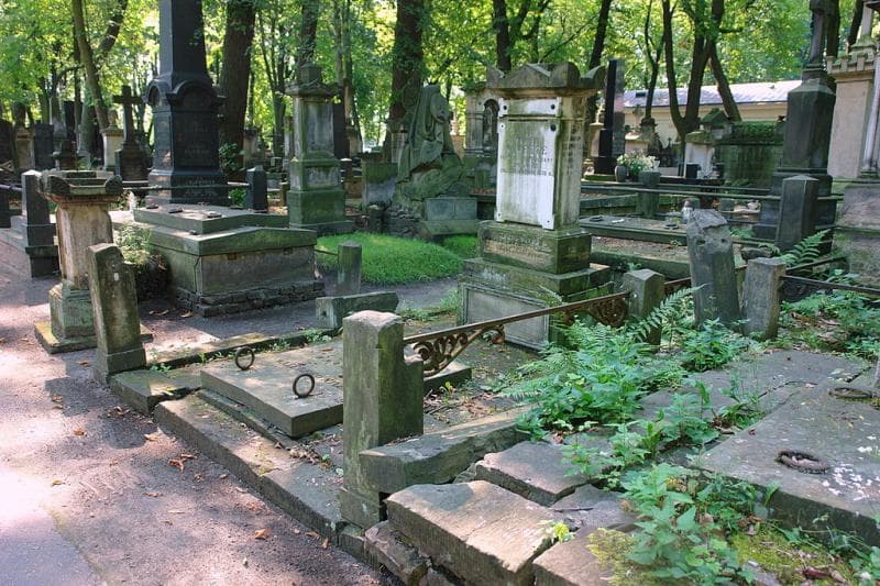 Zdjęcie grobu: Julian Przezdziecki