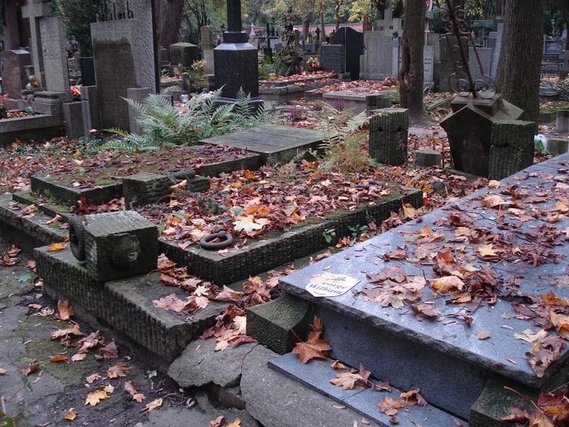 Zdjęcie grobu Antoni Drzewiecki (2)