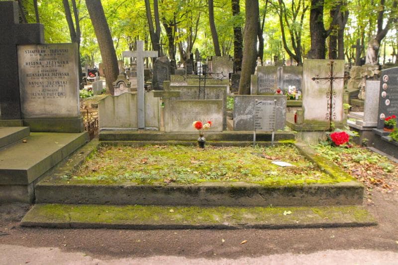 Zdjęcie grobu Franciszek Olesiński (1)