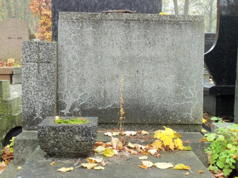 Zdjęcie grobu Władysław Sekowski (2)