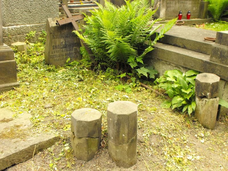 Zdjęcie grobu Kuliszewscy (1)