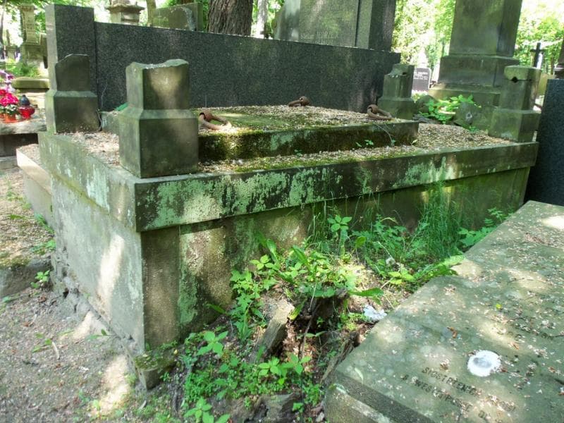 Zdjęcie grobu Ignacy Rościszewski (1)