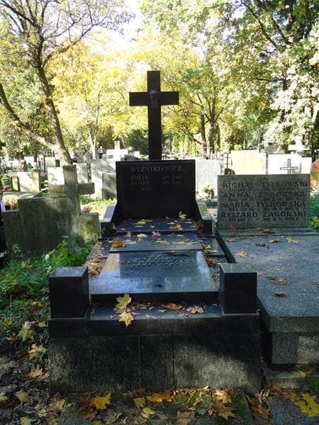 Zdjęcie grobu: Antoni Wyżnikiewicz
