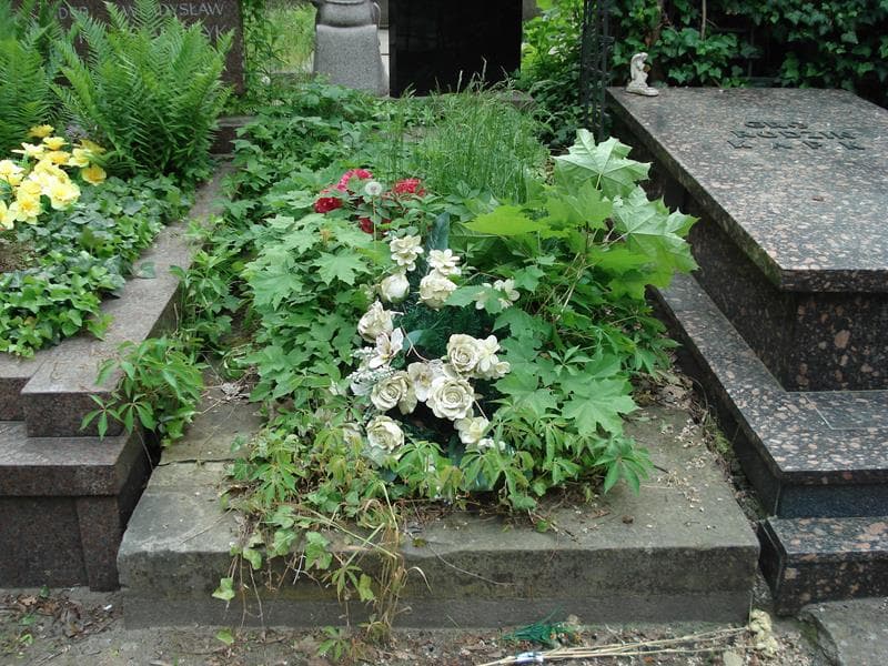 Zdjęcie grobu: Witold Alimowicz