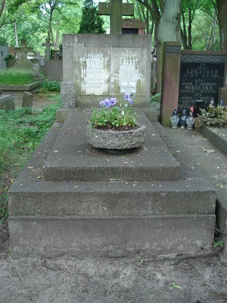 Zdjęcie grobu: Stanisław Pollak