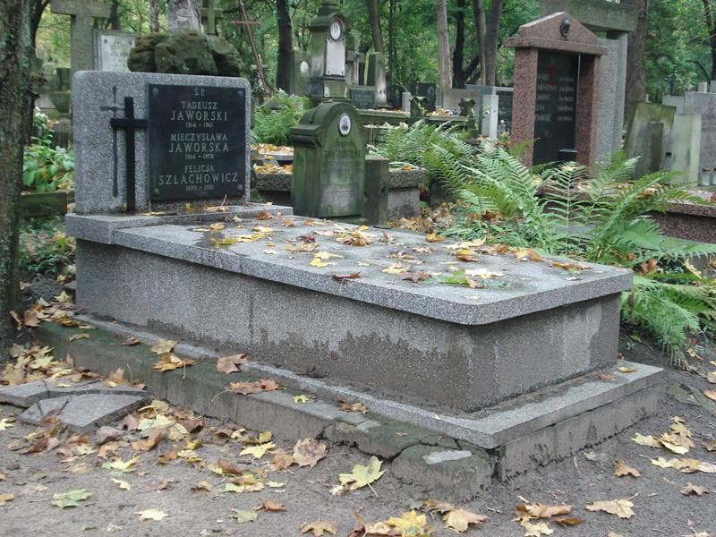 Zdjęcie grobu Mieczysława Jaworska (1)