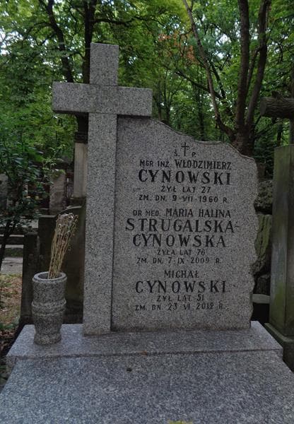 Zdjęcie grobu Michał Cynowski (2)