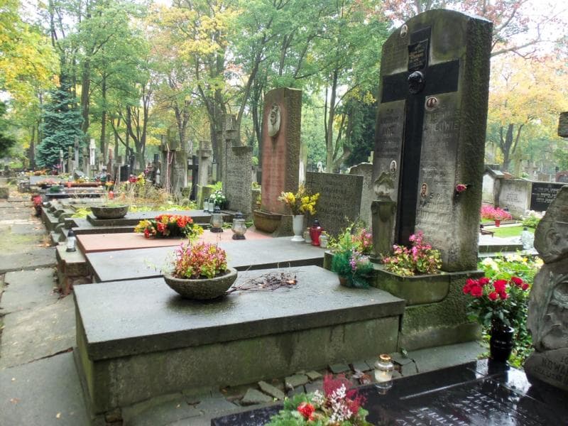 Zdjęcie grobu Juljusz Anc (1)