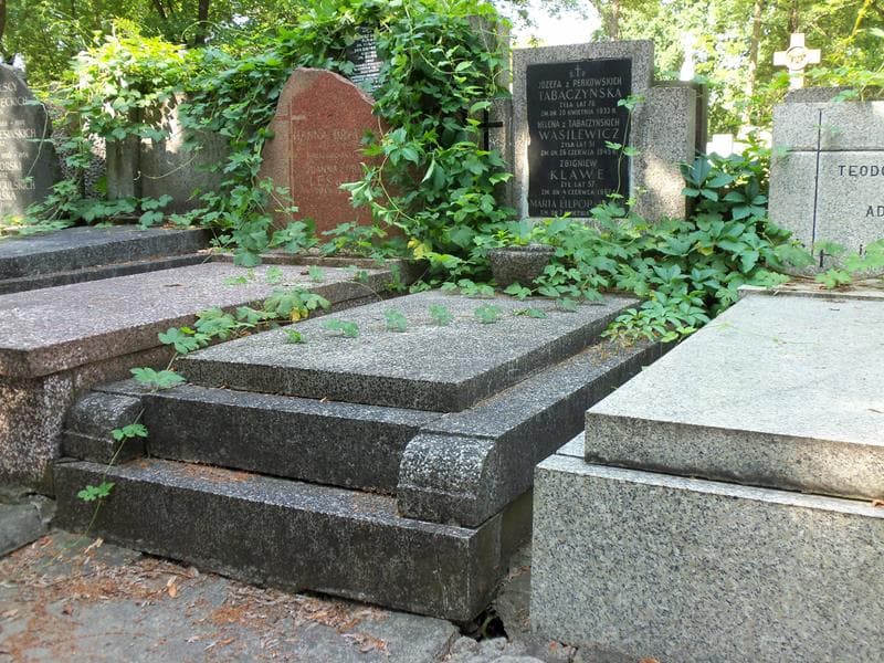 Zdjęcie grobu Józefa Tabaczyńska (1)