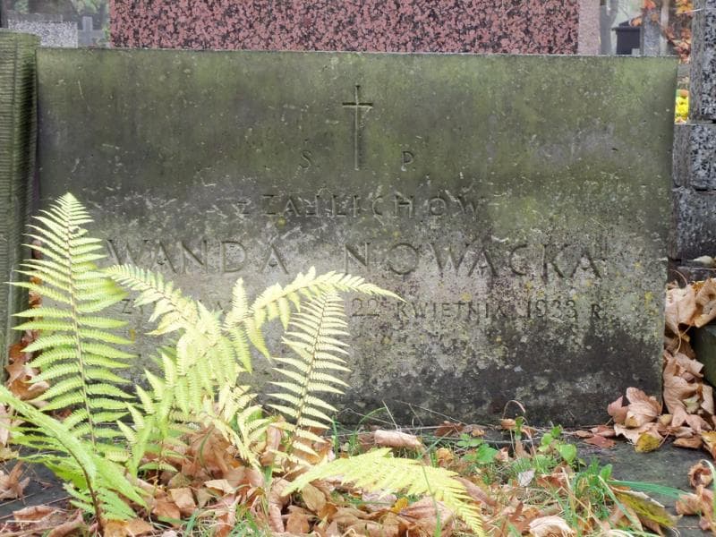 Zdjęcie grobu Wanda Nowacka (1)