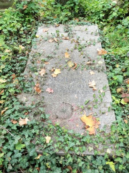 Zdjęcie grobu Władysława Daniszewska (2)