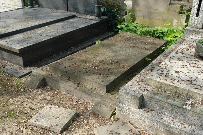 Zdjęcie grobu Maria Kazimiera Timirazjew (1)