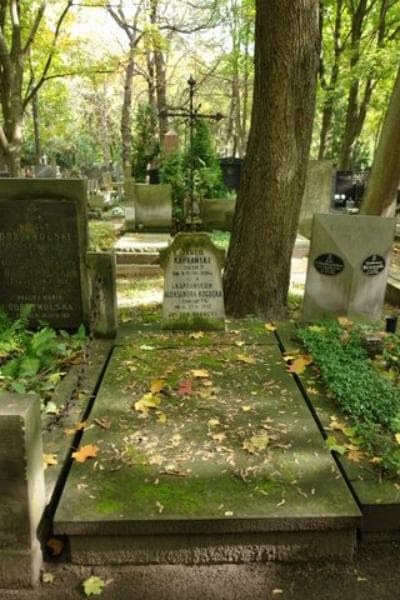 Zdjęcie grobu: Juljan Bogucki
