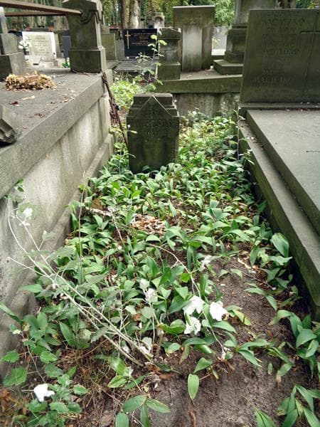 Zdjęcie grobu: Eugenia Downar-Zapolska