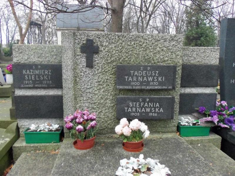 Zdjęcie grobu Stefania Tarnawska (2)