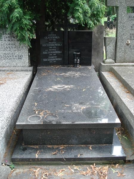 Zdjęcie grobu Jadwiga Olszewska (1)