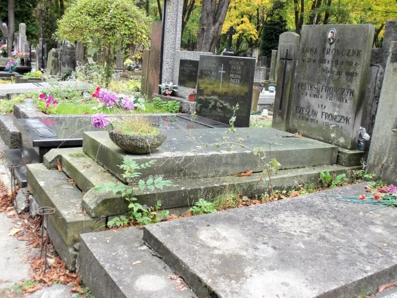 Zdjęcie grobu Feliks Fronczyk (1)