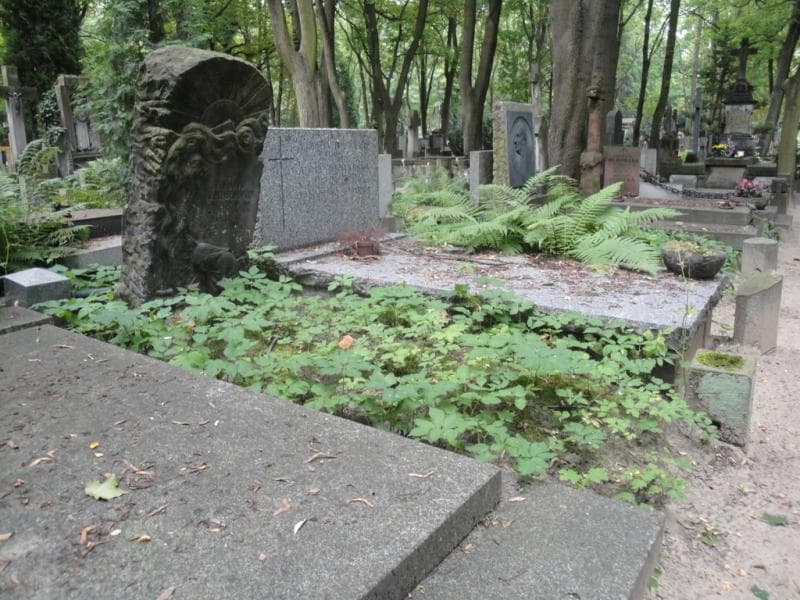 Zdjęcie grobu Stefanja Djarym (1)