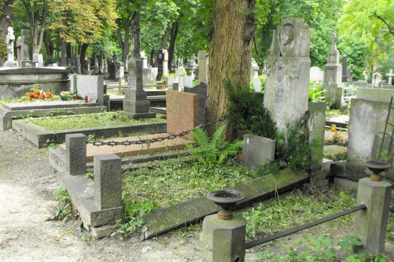 Zdjęcie grobu Maria Magdalena Kulpita (1)