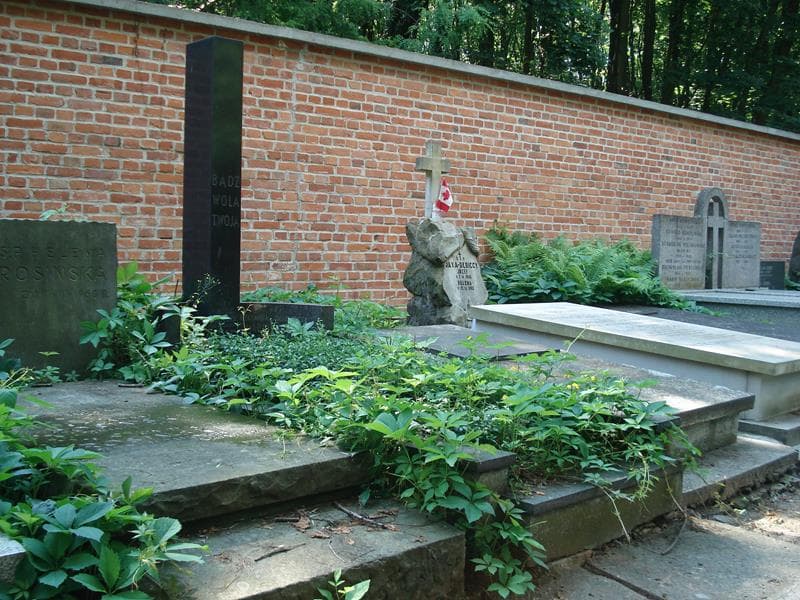 Zdjęcie grobu Witold Marcinkowski (1)