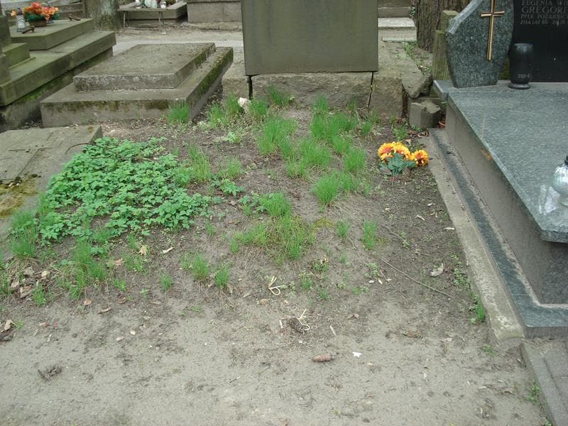 Zdjęcie grobu: Pole Grobowe