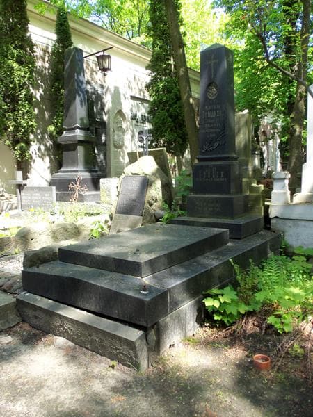 Zdjęcie grobu Władysław Domański (1)