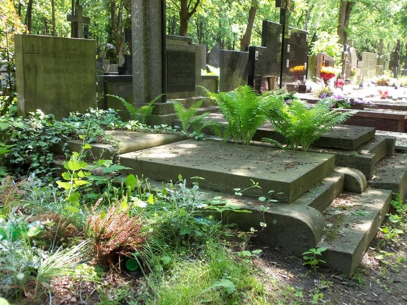 Zdjęcie grobu Zofia Chmielowska (1)