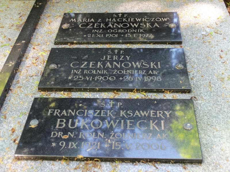 Zdjęcie grobu Franciszek Ksawery Bukowiecki (2)