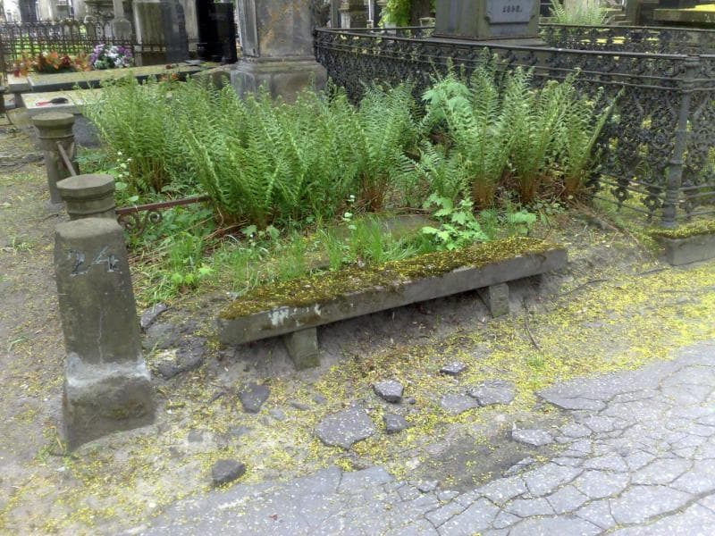 Zdjęcie grobu Seweryn Mikołaj Trzeszczkowski (2)