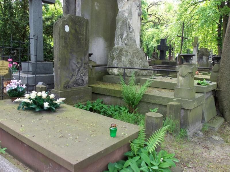 Zdjęcie grobu Wanda Jarzebska - Niewirska (1)