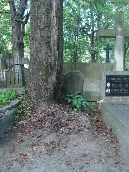 Zdjęcie grobu: Jan Migdał