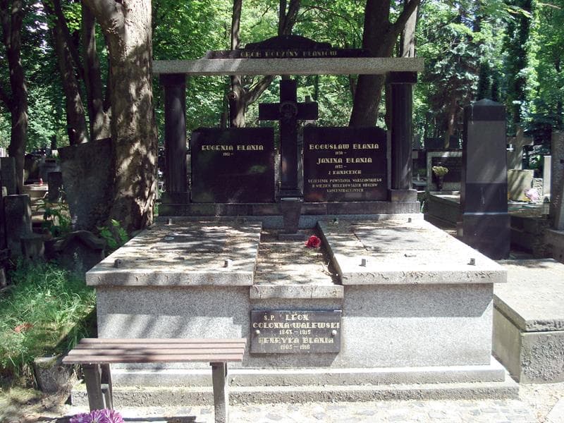 Zdjęcie grobu: Leon Colonna - Walewska