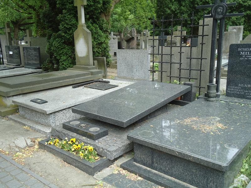 Zdjęcie grobu Władysław Czerwiński (1)