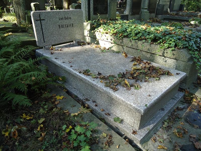 Zdjęcie grobu Bolesław Wolski (1)