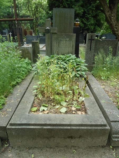 Zdjęcie grobu: Stanisław Ciechanowski
