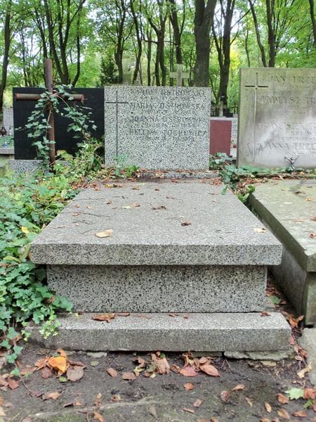 Zdjęcie grobu: Helena Tochowicz
