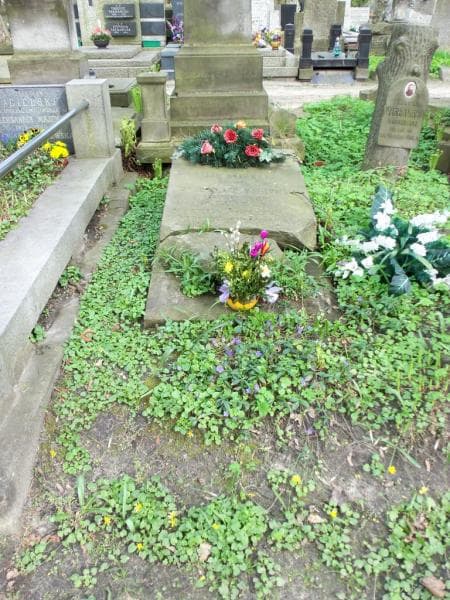 Zdjęcie grobu: Bernard Napieralski