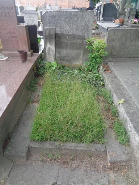 Zdjęcie grobu Władysław Taperek (1)
