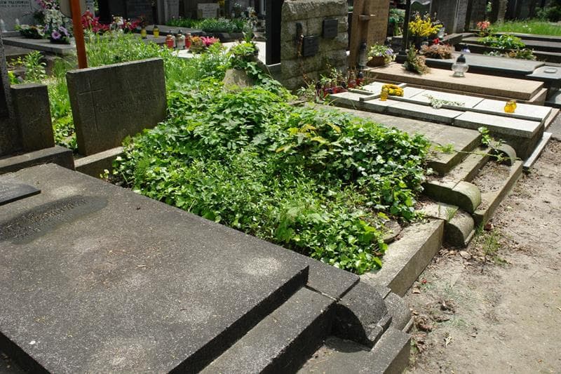 Zdjęcie grobu: Krystyna Iwanicka
