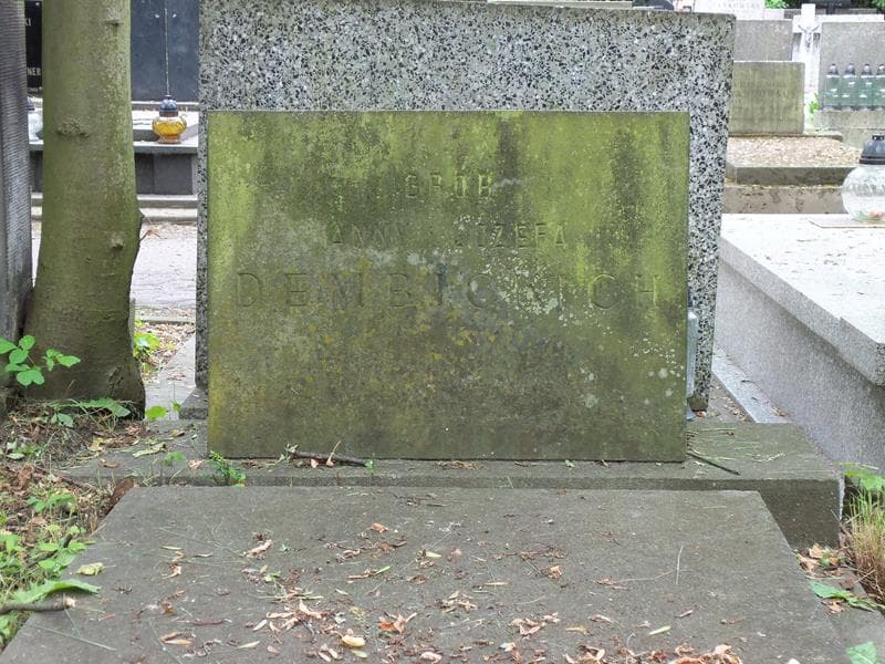 Zdjęcie grobu Józef Dembicki (2)