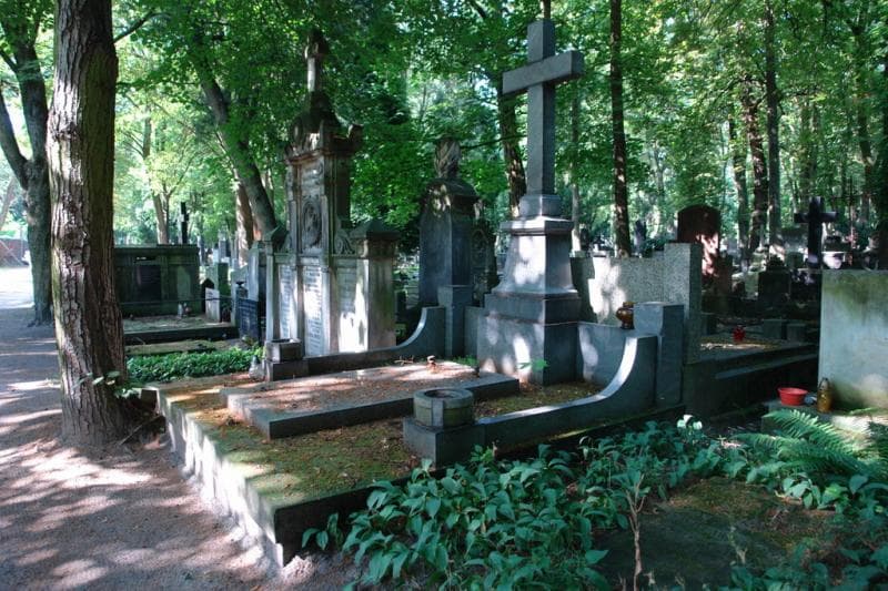 Zdjęcie grobu Władysław Dobrzyński (1)