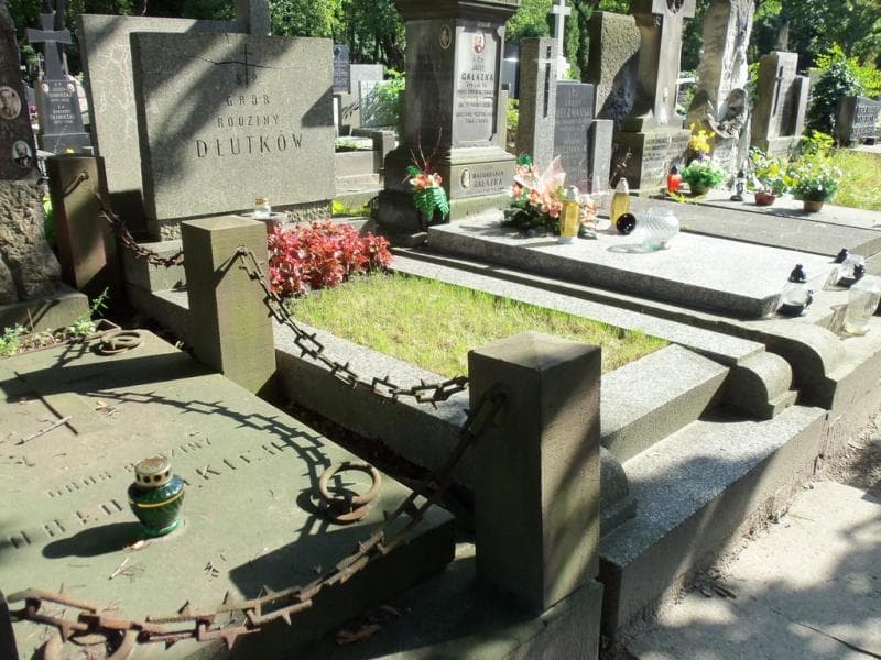 Zdjęcie grobu Dłutkowie (1)